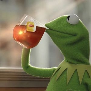 Meet your Posher, Logan